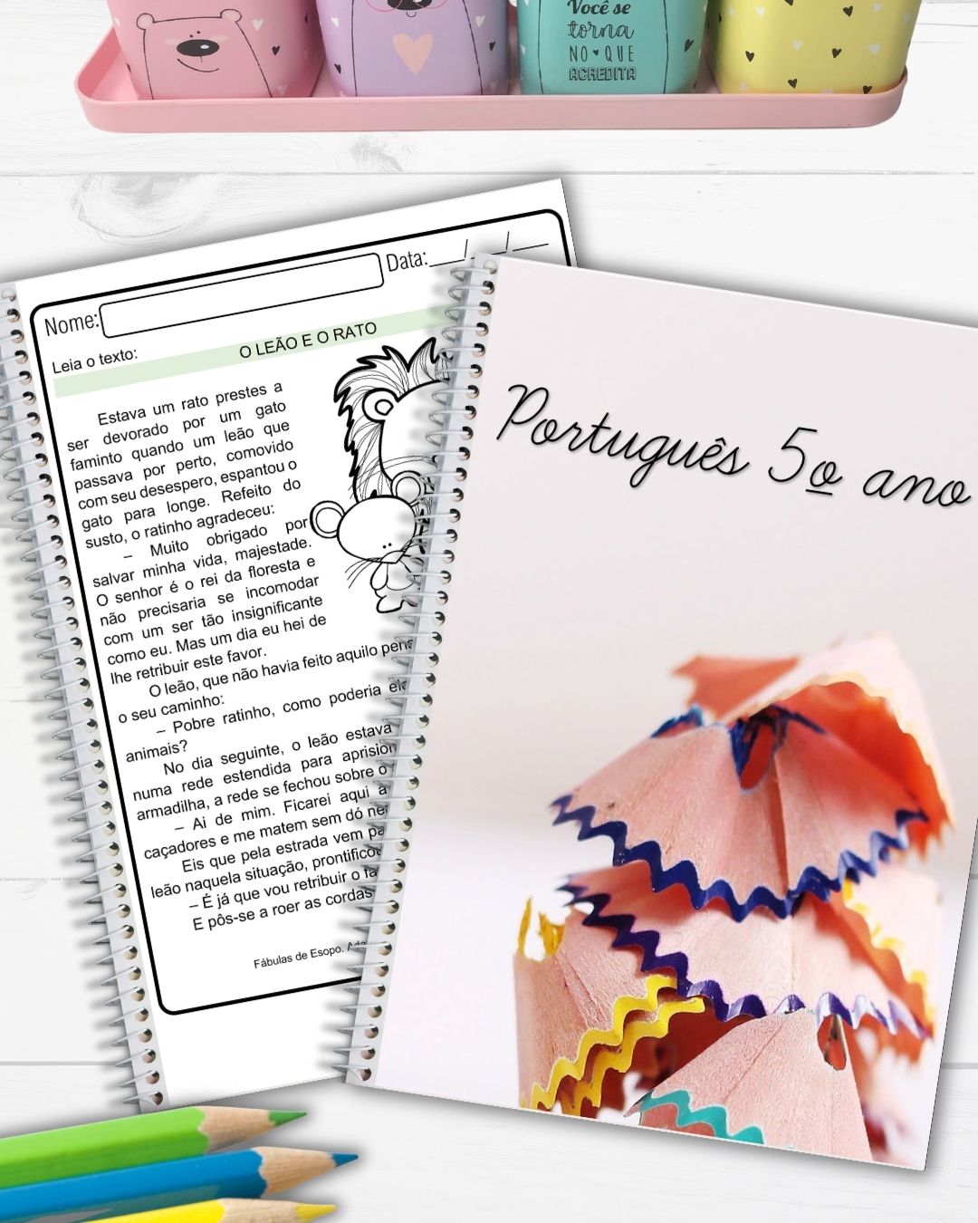 Atividades de Língua Portuguesa 5º ano com 20 páginas